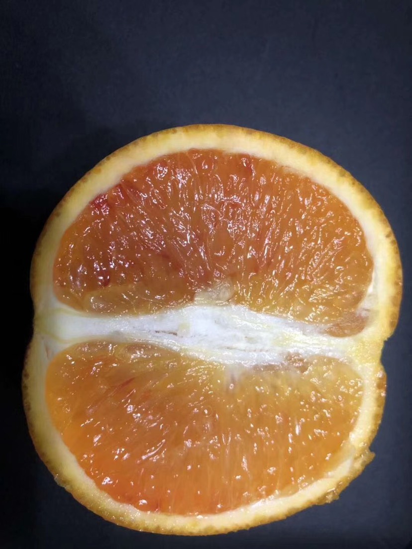 塔罗科血橙 井研东林橙乡自家种植雪橙
