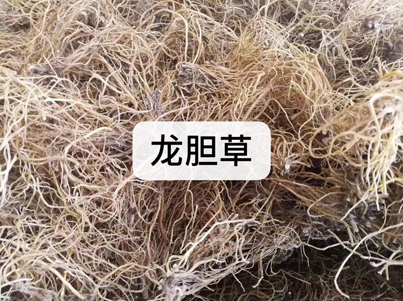 [坚龙胆批发]龙胆草 滇龙胆 云南龙胆草 药根 酒药草根 坚龙胆价格48
