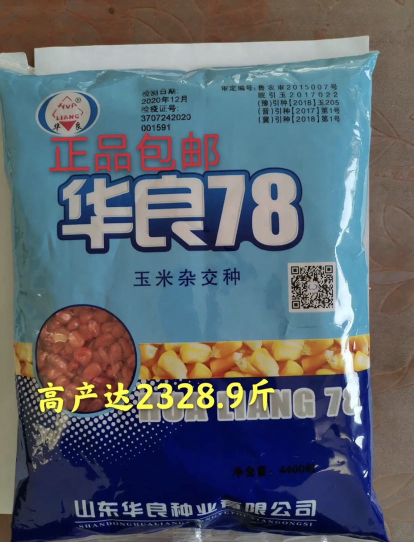 华良78玉米种子