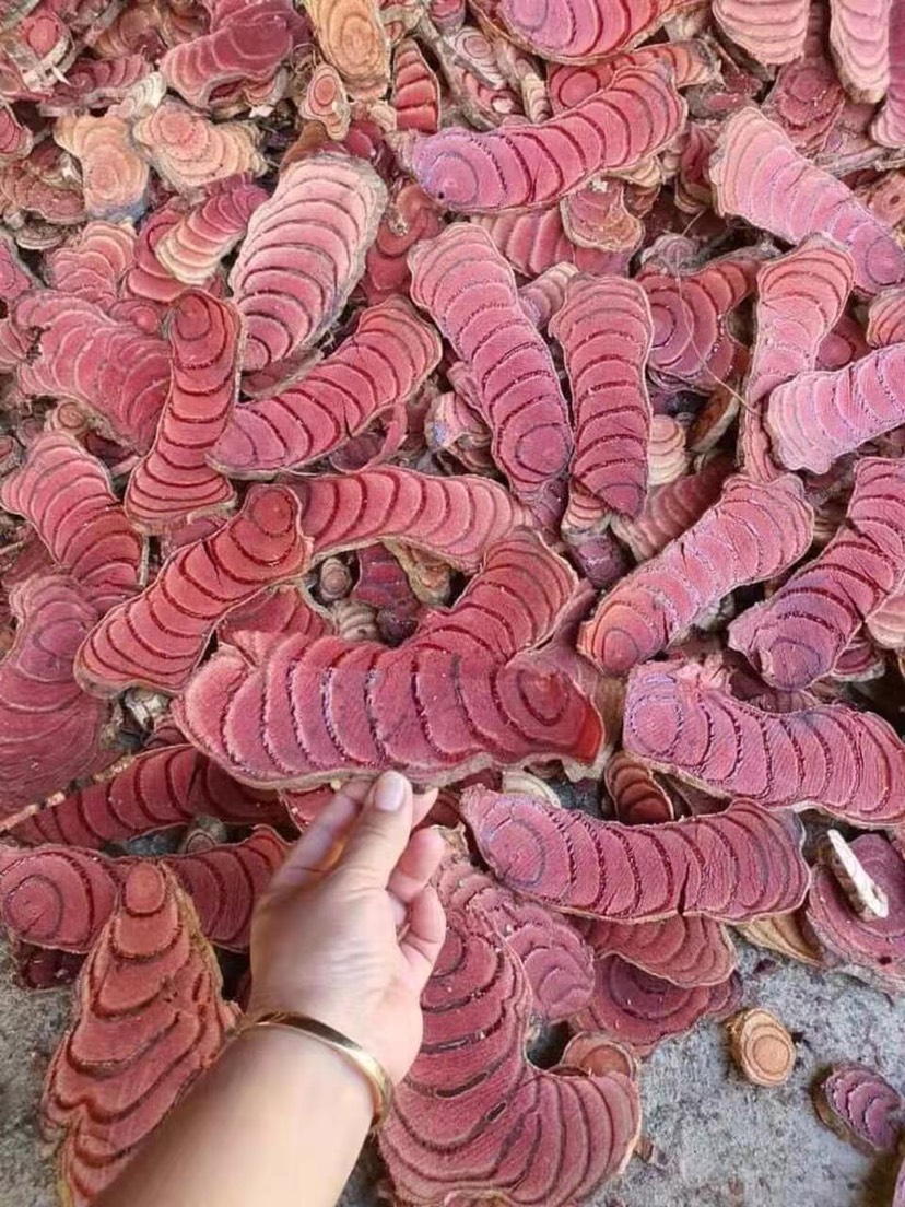 鸡血藤 正关
