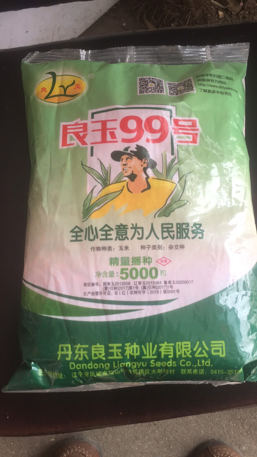 良玉99玉米种子 值得信赖的良玉99