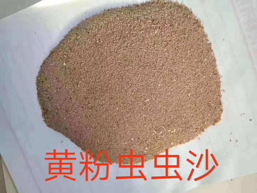 黄粉虫粪