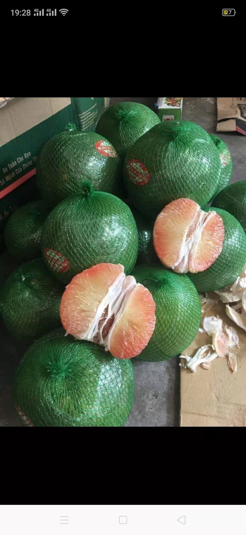 越南翡翠青柚红心蜜柚