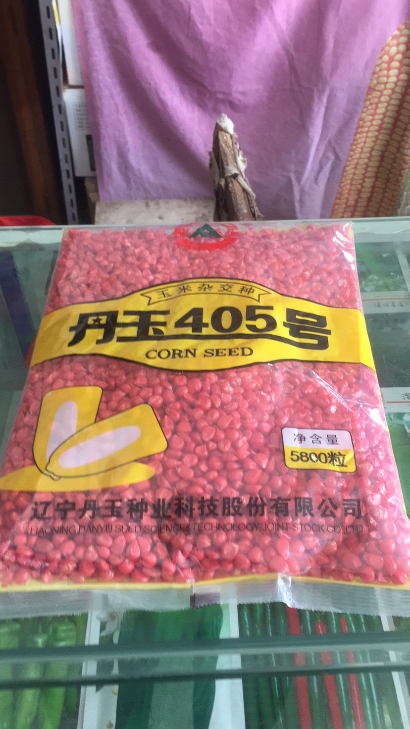 商家还在供应 玉米种子产地行情           搜索          丹玉405