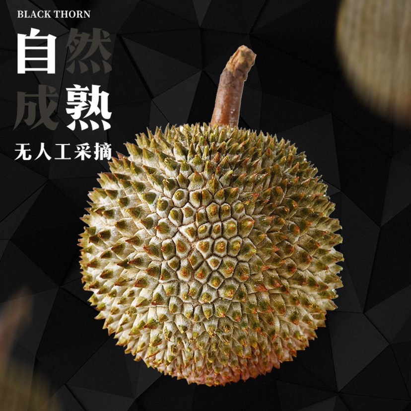 黑刺榴莲