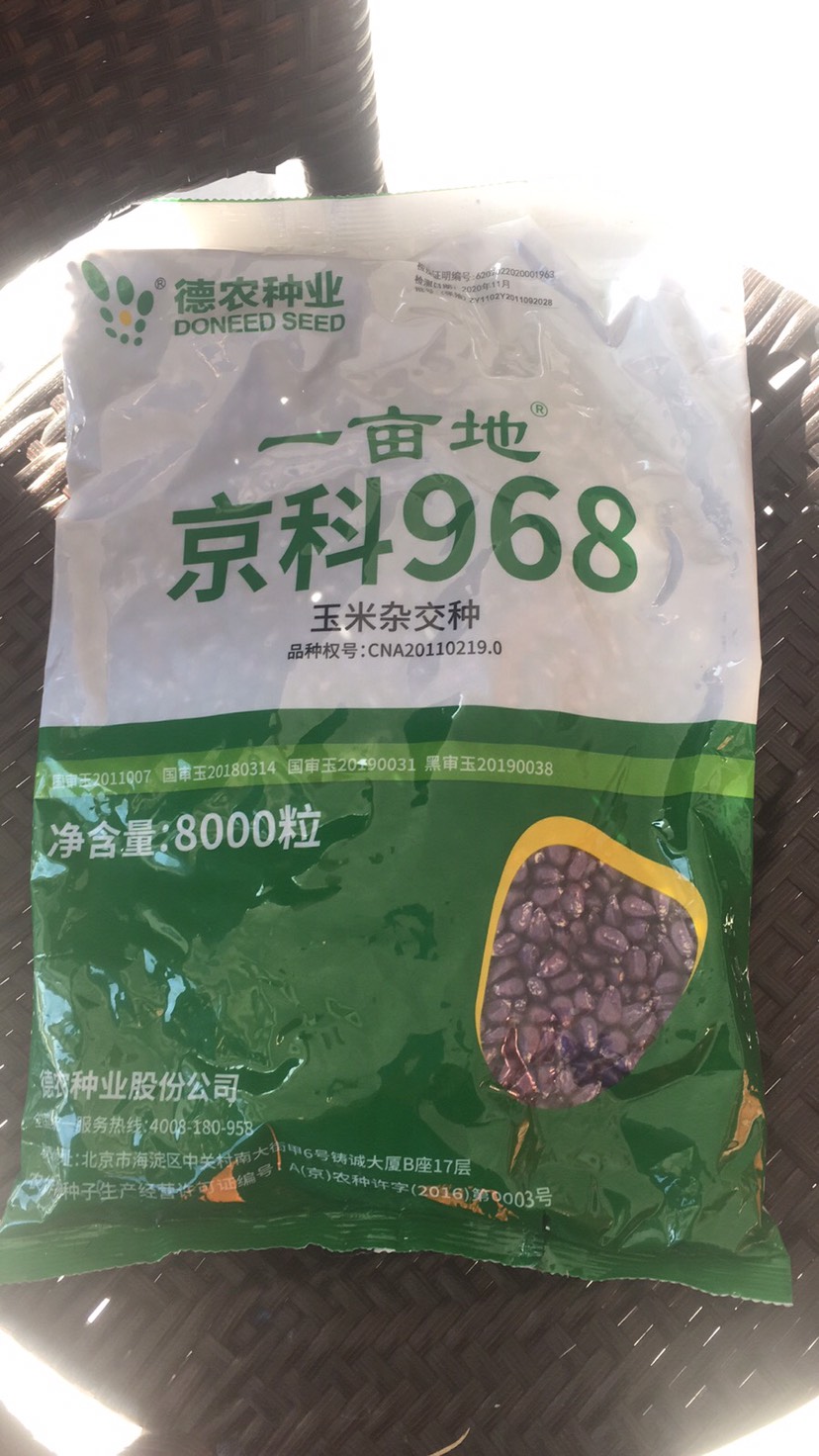 德农京科968玉米种子京科968国审大品种产量高抗病强