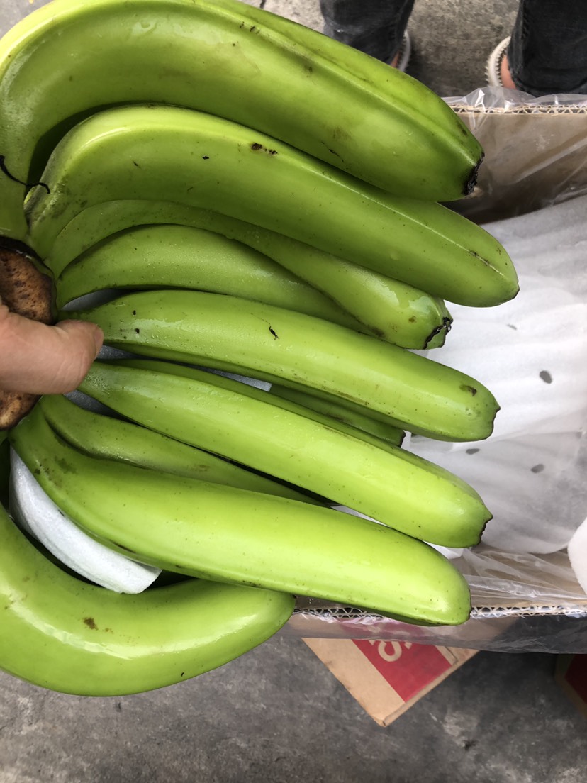 越南香蕉,老品种,口感好,绝无南天黄,品质保证,不掉把.贼溜