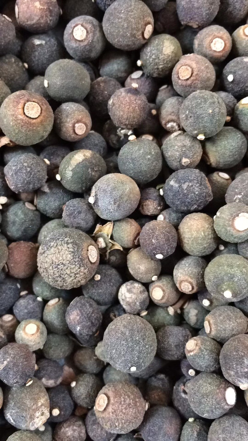 枳实 柑橘落地果,橙类干果,全规格供应