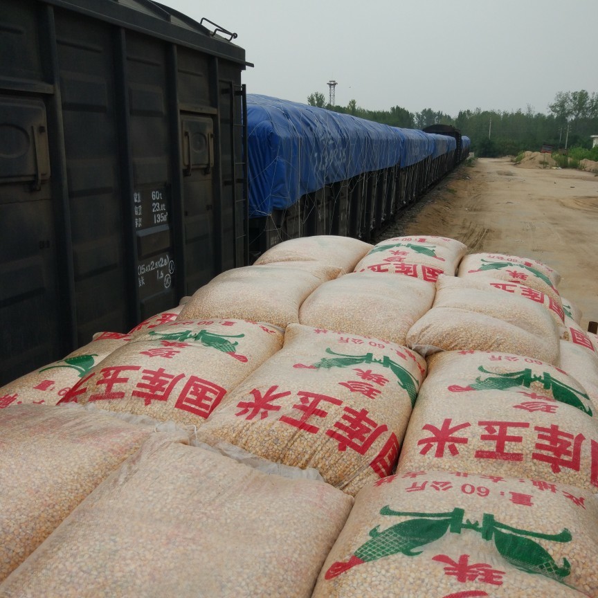 大量供,新小麦,玉米,黄豆,高粱,代办火车运输