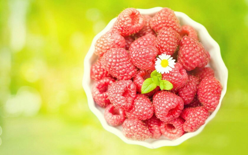 树莓批发采购_树莓供应_树莓价格_树莓批发网