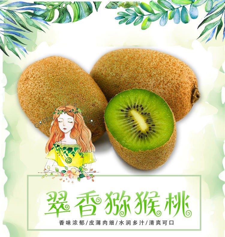 翠香猕猴桃 2019萃香接近尾声