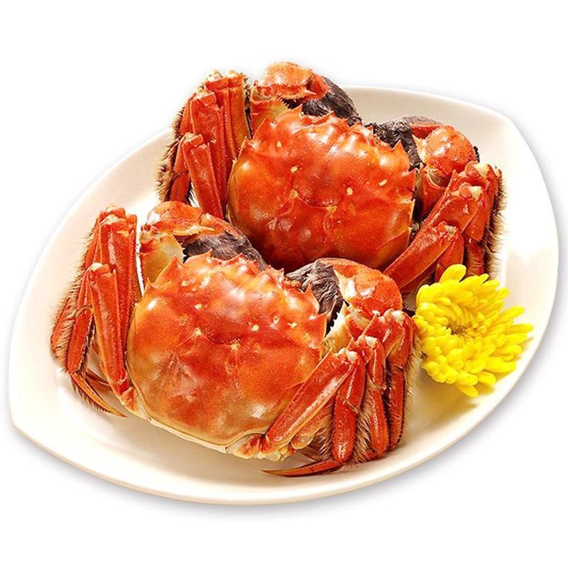 阳澄湖大闸蟹 3.0-3.5两 公蟹