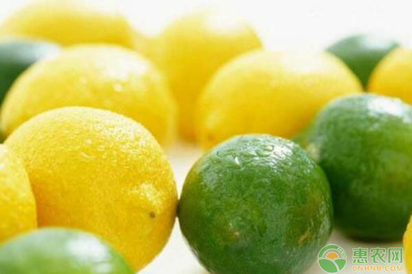 柠檬多少钱一斤？7月4日柠檬主产区最新价格行情