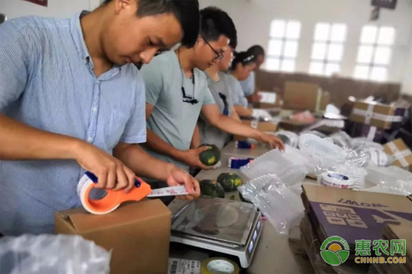 小南瓜电商扶贫