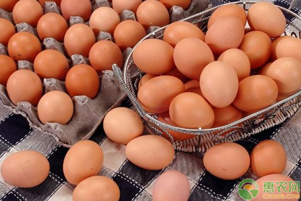 7月12日各地区鸡蛋价格行情分析