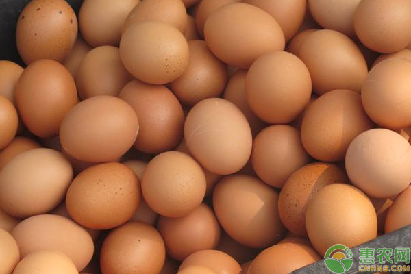 鸡蛋今日多少钱一斤？7月17日各地区鸡蛋价格行情汇总