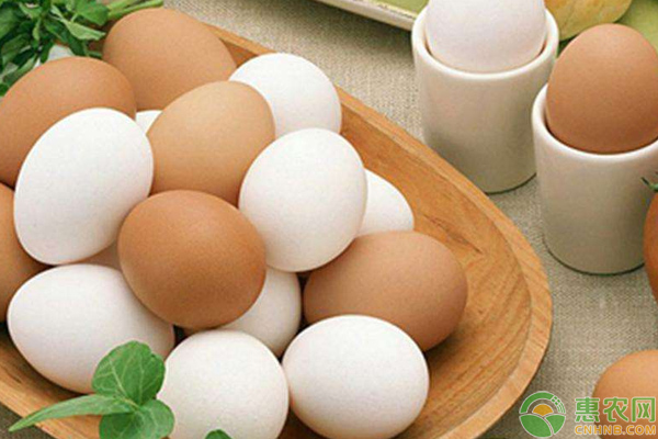 鸡蛋今日多少钱一斤？