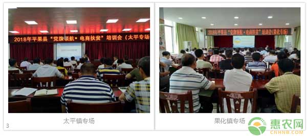 2018平果县“党旗领航·电商扶贫”活动圆满结束