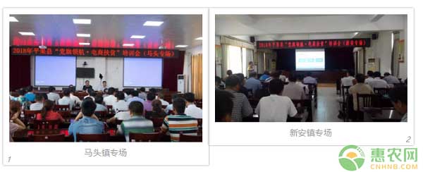 2018平果县“党旗领航·电商扶贫”活动圆满结束