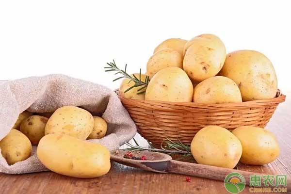 土豆价格多少钱一斤？7月25日全国土豆最新价格行情