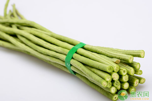 豆角多少钱一斤？7月26日豆角主产区市场收购行情