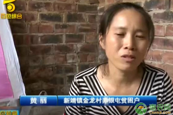 绣球脱贫