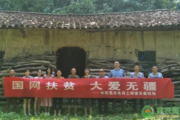 电商扶贫活动