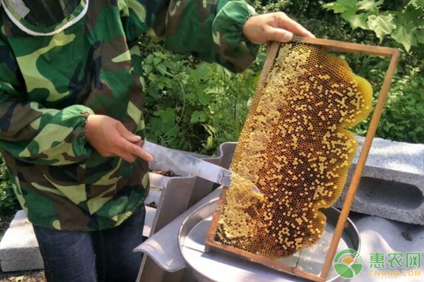 电商扶贫活动