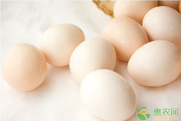 鸡蛋日评：蛋价继续新高 期货1801回调