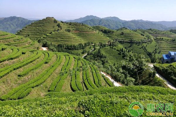 林地补偿标准每亩价格