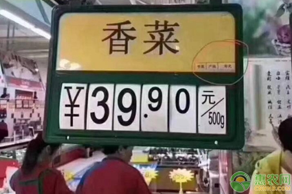 菜价连涨8周