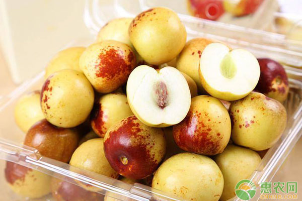 冬枣价格行情