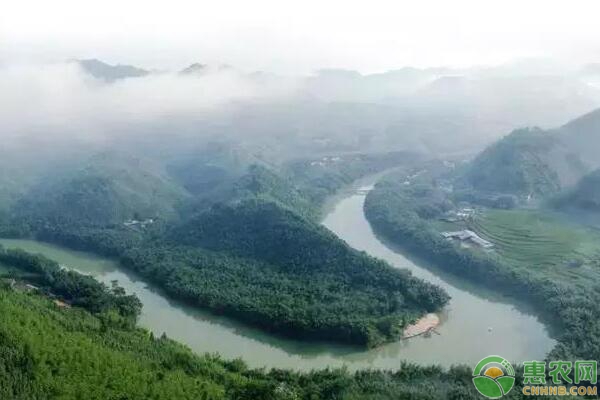 东大门特种养殖专业合作社的脱贫致富风采