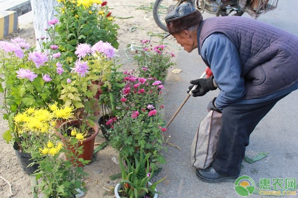 农村项目