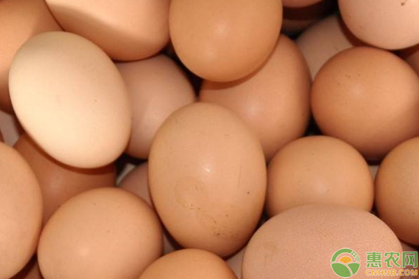 鸡蛋价格涨跌如何？