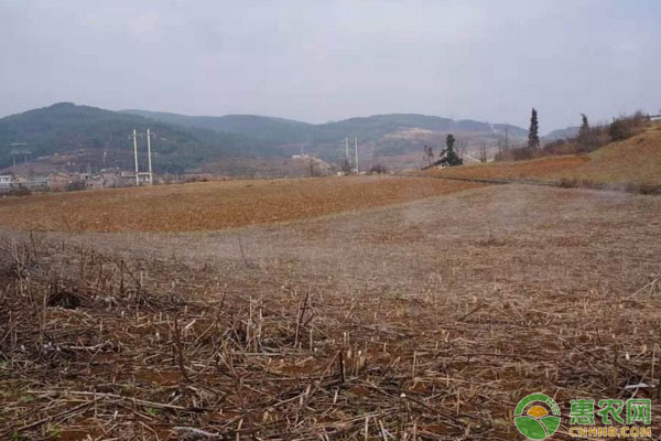 农村家庭成员发生变化，会对土地承包关系产生哪些影响？