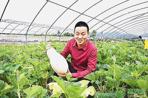 农民致富秘诀