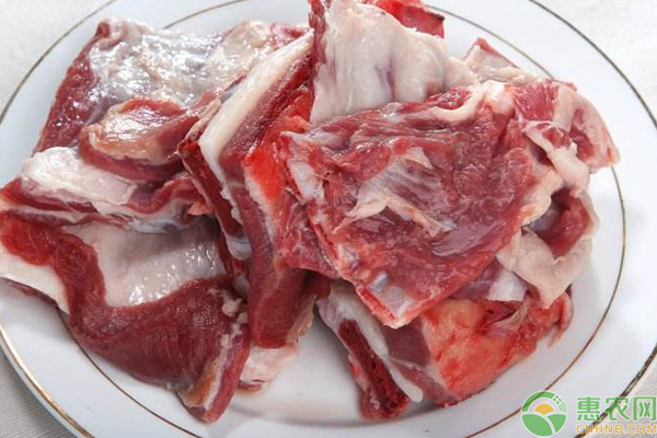羊肉行情