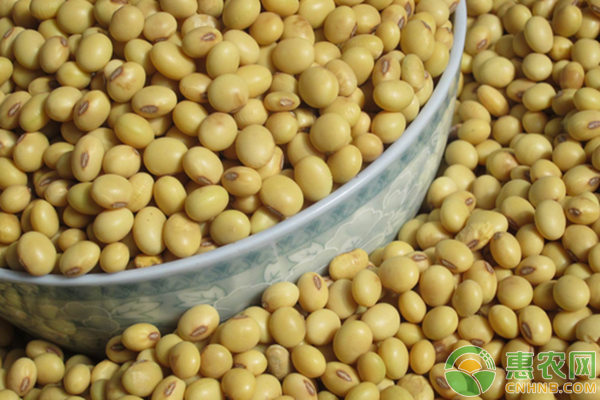 超市买的<a href='https://www.cnhnb.com/p/syy/' class='j-href' target='_blank'><span style='color:#FF8001'>食用油</span></a>好还是自己榨的食用油好？区别在哪？