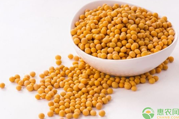 超市买的食用油好还是自己榨的食用油好？区别在哪？