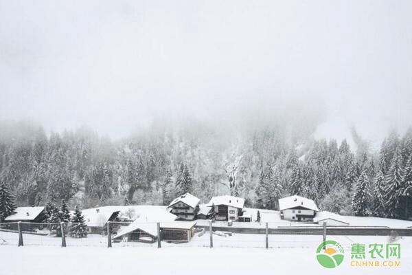 冬季寒冷、锻炼少，谨防这三种疾病“趁虚而入”很重要！