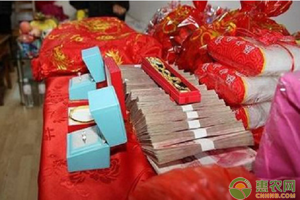 未来五年，在农村从事这三种行业，收入前景一片看好！
