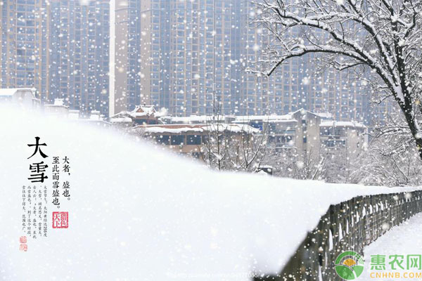 大雪节气宜忌