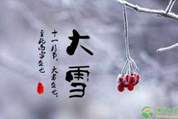 大雪节气注意事项