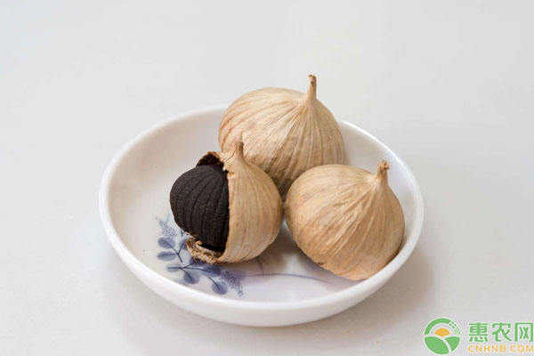 黑蒜制作方法