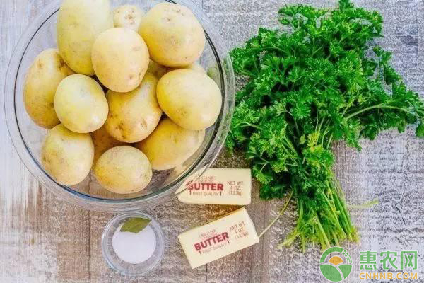 土豆最新价格