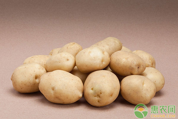土豆价格行情