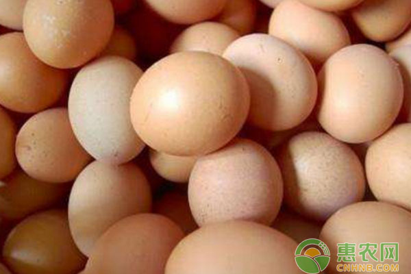 今日鸡蛋多少钱一斤？2018年末全国鸡蛋价格行情