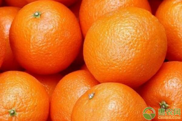 今日橙子多少钱一斤？2018年末各地橙子收购行情分析