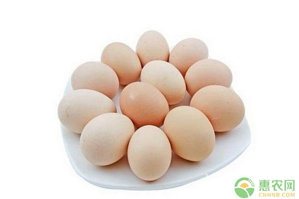 优安的觅编辑部整理:元旦时节，鸡蛋多少钱一斤？最新鸡蛋价格行情分析